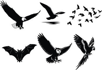 Flying animal illustration set, eagle, owl, bat, parrot, bird flock, water reflection icons, vector nature wildlife concept
