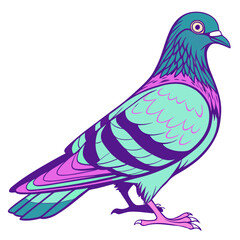 Stylized pigeon with teal, purple, and pink feathers