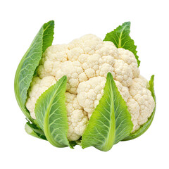 Vibrant White Cauliflower with Lush Green Leaves on Transparent Background, Perfect for Culinary or Health Food Branding, Packaging Design, and Fresh