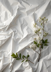 White paper texture background with natural folds and shadows