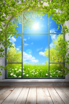 A window with a view of a lush green field and a blue sky