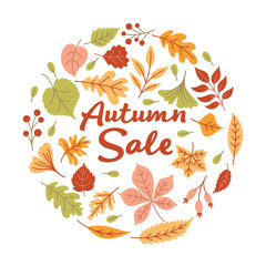 Autumn Sale Background
