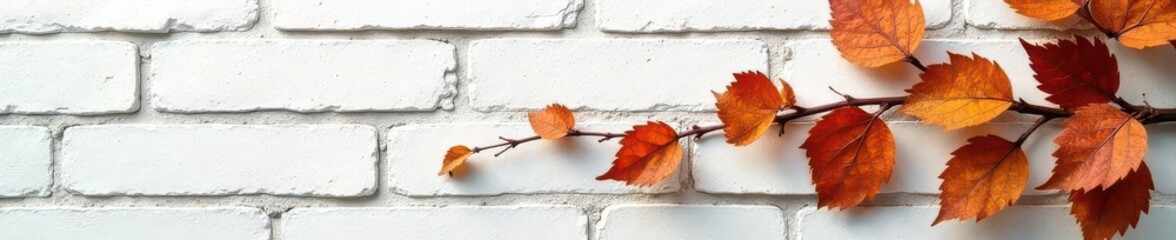 Naklejka premium Dried vine with amber leaves clinging to aged white brick , aged, brick