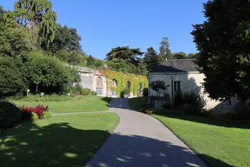 Obraz premium Jardin des plantes, parc public, ville de Saumur, département du Maine et Loire, France