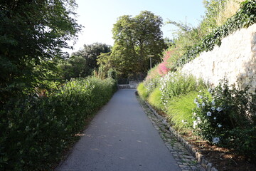 Jardin des plantes, parc public, ville de Saumur, département du Maine et Loire, France