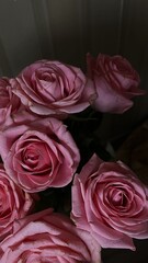 bouquet of pink roses
