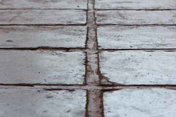 Close-up of aged concrete floor with visible cracks, rough lines, and worn-out surfaces. Useful as a grunge background, industrial texture, or construction design element.