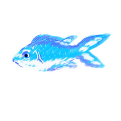 Blue green damselfish 