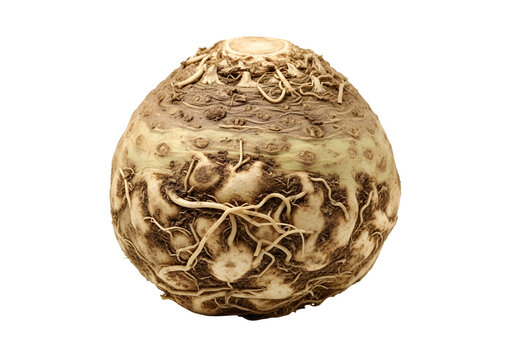 Close-up view of a round celeriac root, showcasing its textured exterior with intricate root patterns against a stark black background.
