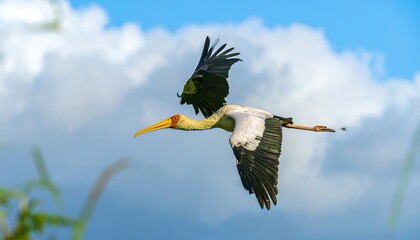 A stork in flight against a cloudy sky