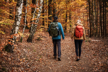 Fototapeta premium Hiking in autumn forest. Tourist couple with backpacks walking on trekking trail in woodland