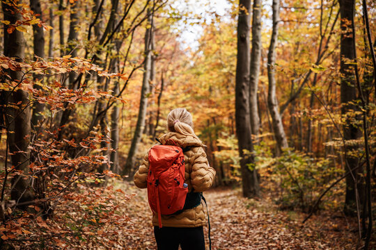 Outdoors adventure. Woman with backpack hiking in autumn forest. Female hiker exploring nature