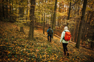Fototapeta premium Autumn hike in forest. Tourist couple walks on trekking trail in woods