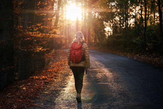 Woman with backpack walking on road in woodland during sunset. Female tourist hiking in autumn forest