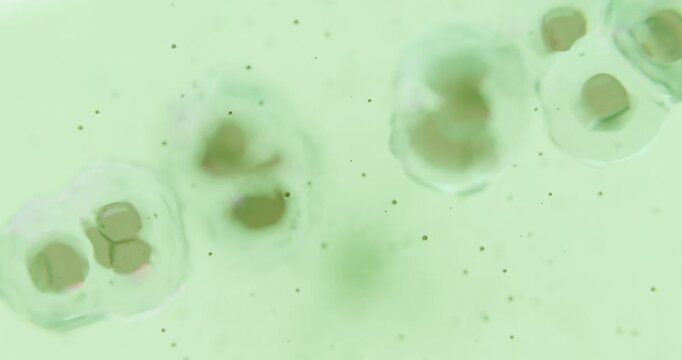Detailed microscopic image of organic cells with red nucleus and transparent structure. Symbolic background for research, genetics, growth, and healthcare.