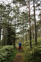 Fototapeta premium Man with a German Shepherd dog standing on a forest path in Divcibare, Serbia. Hiking and travel with pet concept