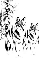 Fototapeta premium Black and white frame of a wild wolf, symbolizing strength and wilderness