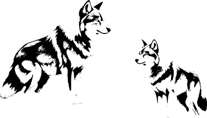 Black and white frame of a wild wolf, symbolizing strength and wilderness