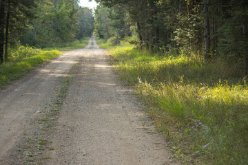 road in the forest