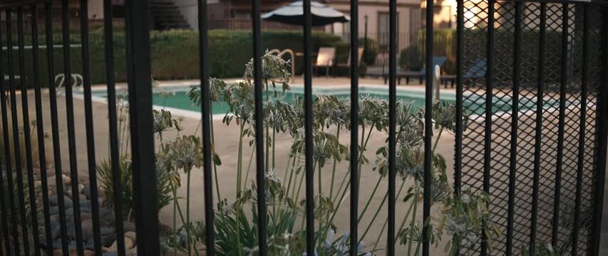 Iron gate with plants in foreground and swimming pool in residential courtyard