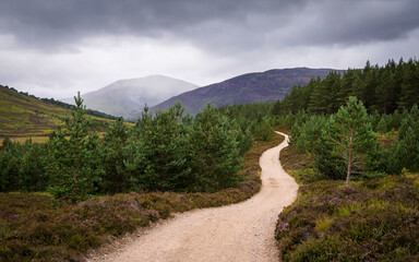 path to the mountains 
