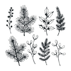 set of black branches