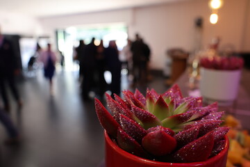 d&eacute;co vin d'honneur