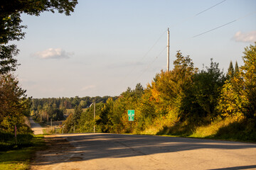 Fototapeta premium road in autumn