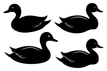 set of Duck swimming silhouette illustration