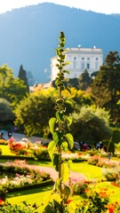 A tall plant in a garden, with a palace in the background