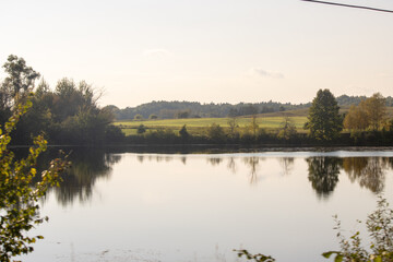 Reflection of trees in water