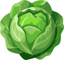 Cabbage icon