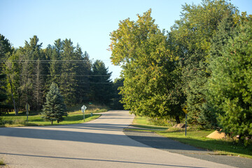Fototapeta premium road in the forest