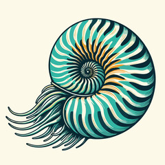 Nautilus Shell Illustration