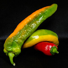 Drei Schoten vom Spitzpaprika in vier Farben