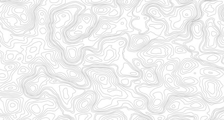 Fototapeta premium Abstract topographic contours map background. Topography lines and circles background. Topographic map Patterns. 