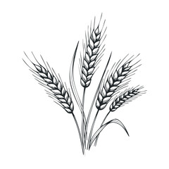 Harvesting golden wheat agricultural field illustrative art natural environment view food production concept. Vector illustration