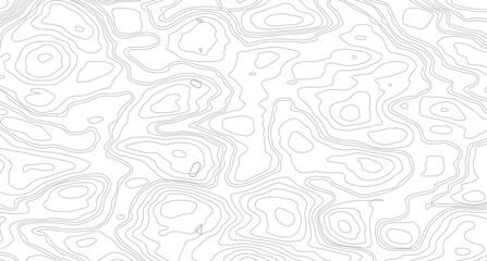 Obraz premium White wave paper curved reliefs abstract background, Abstract topographic contours map background, Topography map background. Vector geographic contour map. 