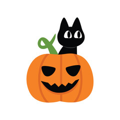 Black cat peeking out of a Halloween pumpkin. Black cat with halloween pumpkin. Happy halloween.