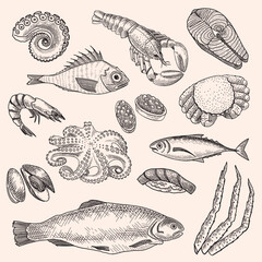Seafood vector design illustration
