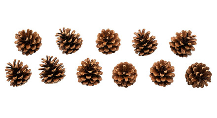Ten Pine Cones Psychedelic Design