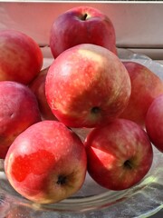 apples in a bowl