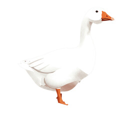 white goose isolated on white background