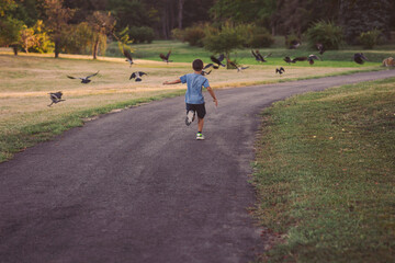 Obraz premium Child joyfully running in a park as birds take flight at sunset, creating a magical moment of exploration and freedom in nature