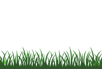 Fototapeta premium Green grass meadow border vector pattern. Spring or summer plant field lawn. Grass background.Isolated On White Background, Vector Illustration