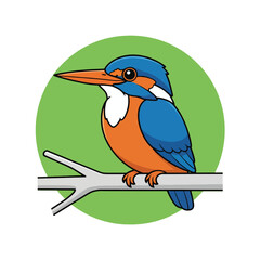 Colorful kingfisher bird perched on a branch isolated on white background