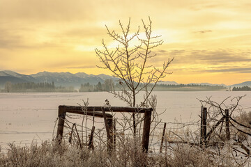 winter scene of a sunrise in a rural setting in northwest Montana