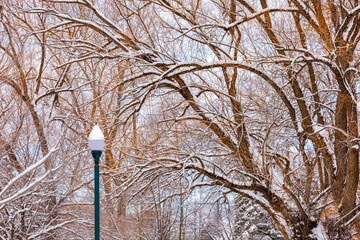 winter scene of a city park located in Whitefish, Montana