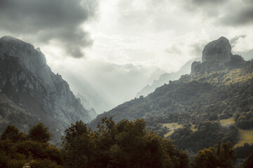Dramatic mountain landscape of Picos de Europa with misty peaks, rugged cliffs, dense forests, and...