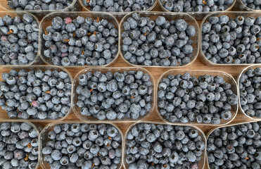 Organic blueberries at the fruit market, fresh healthy fruit antioxidants